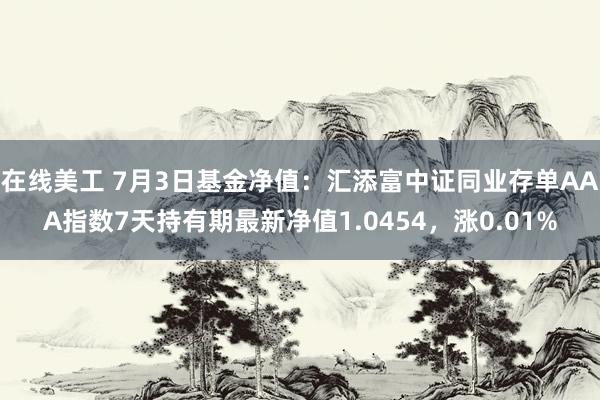 在线美工 7月3日基金净值：汇添富中证同业存单AAA指数7天持有期最新净值1.0454，涨0.01%